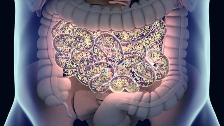 Neurodermitis und Allergien hängen mit der Darmgesundheit zusammen
