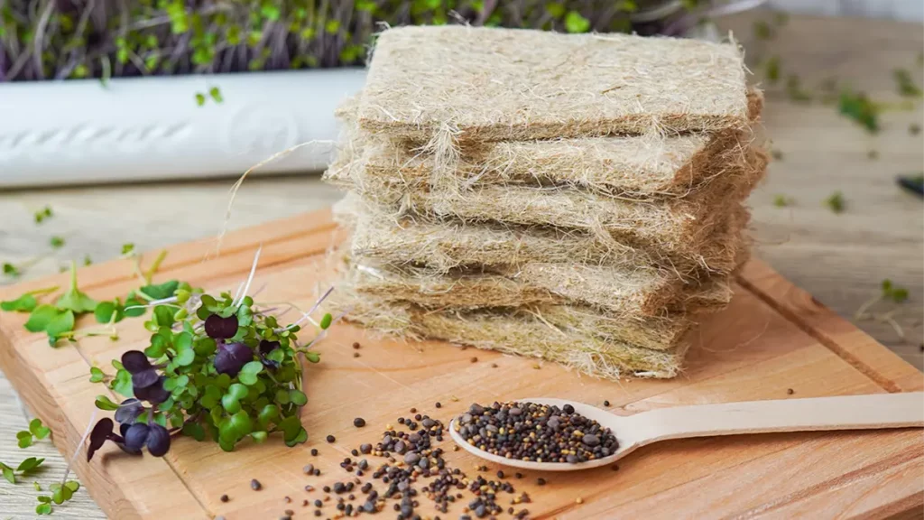 Saatgut-Anzucht auf Naturfaservlies im Winter – gleichmäßige Keimung ohne Erde