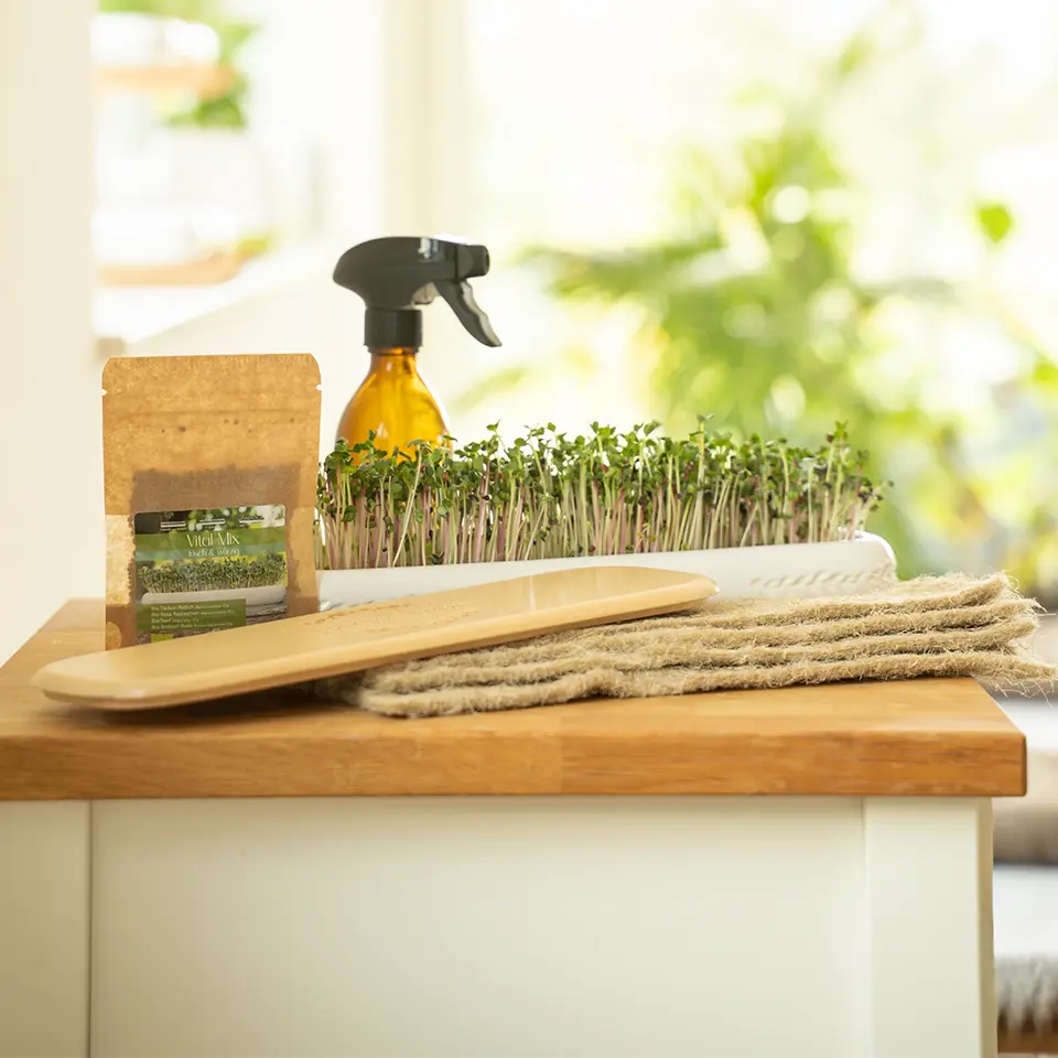 Anzuchtschale für die Fensterbank