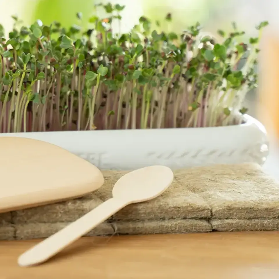 Anzuchtschale mit Naturfaservlies