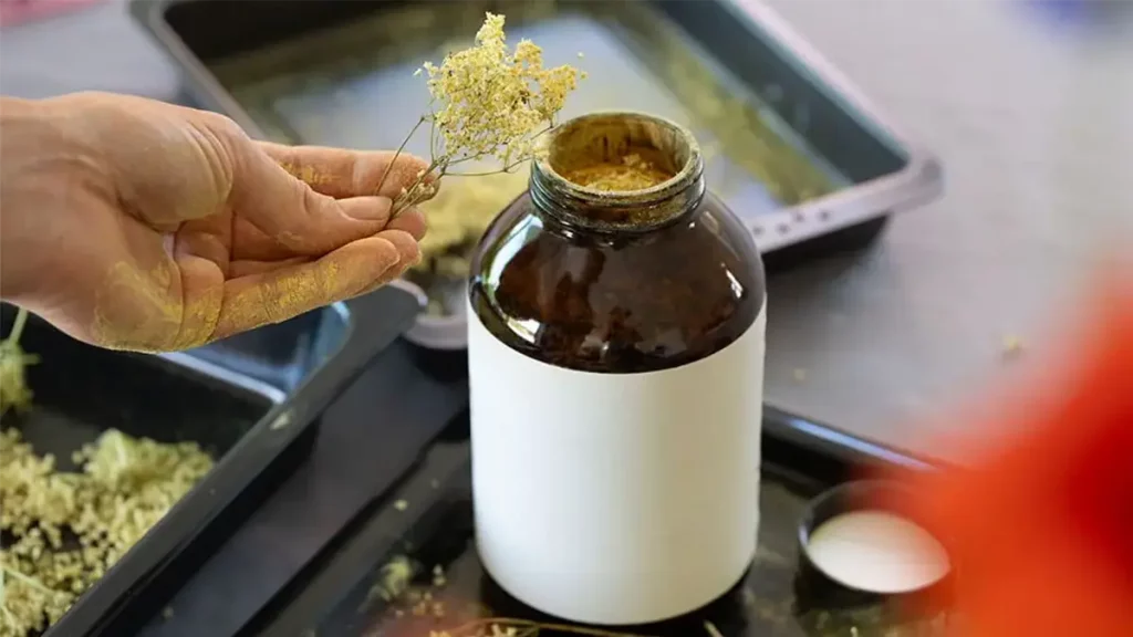Wildkräuter im August trocknen und richtig lagern – schonende Methode für Aroma und Nährstoffe