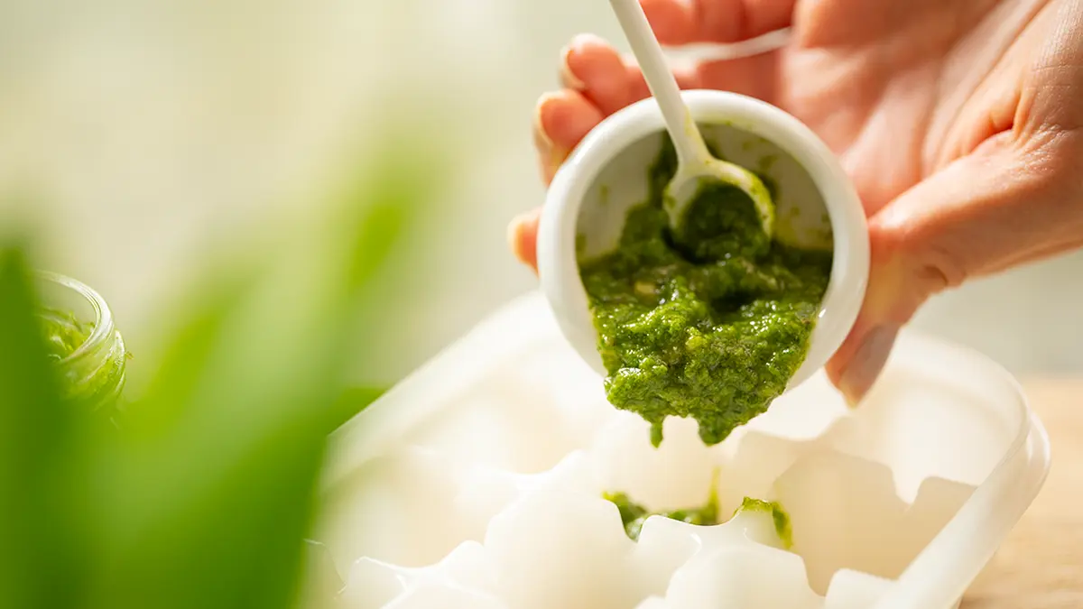 Bärlauch im März haltbar machen