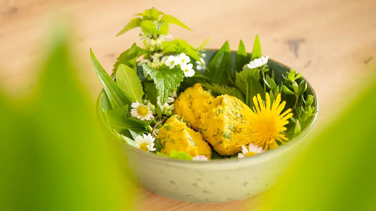 Wildkräutersalat mit Bärlauch im April