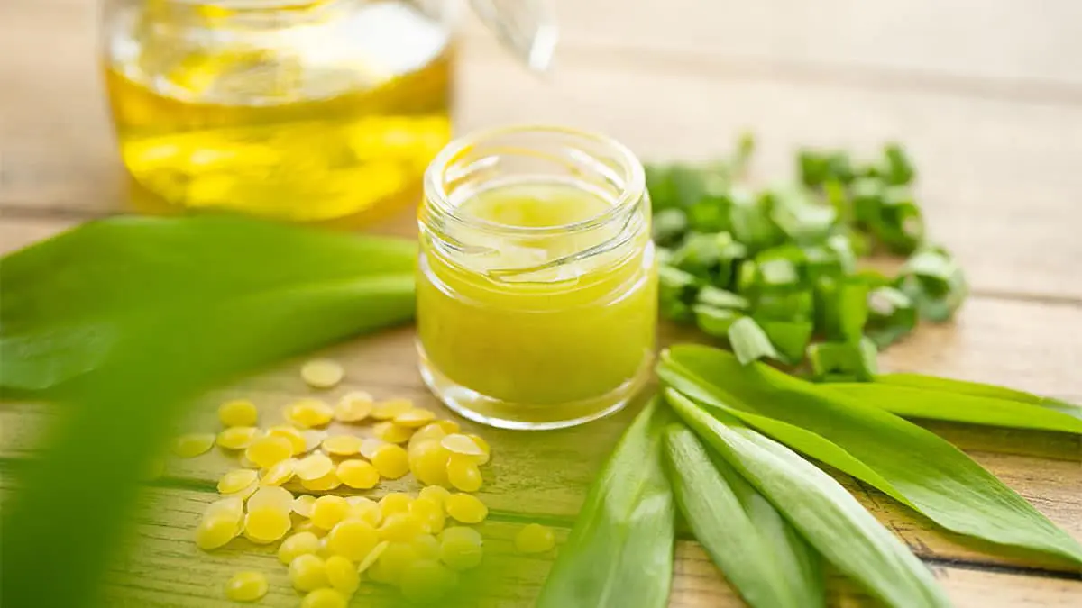 Salbe aus Bärlauch selber machen