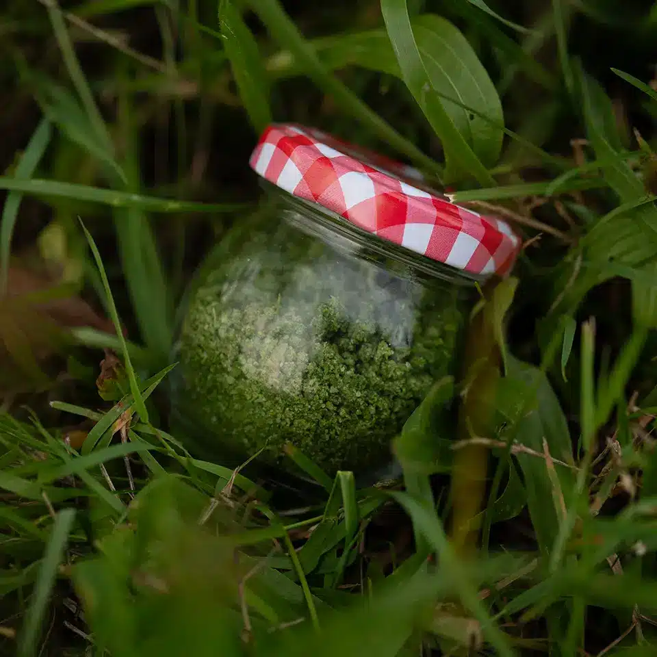 Glas mit selbstgemachtem Basilikum-Salz im Garten – frisch und aromatisch
