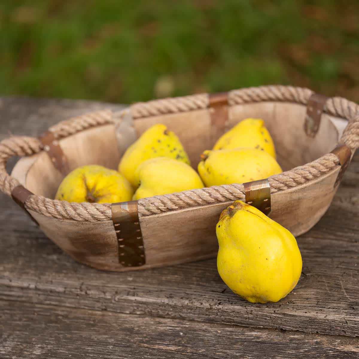 Jetzt sind Quitten reif: Das musst du beim Verarbeiten im Oktober wissen Jetzt sind Quitten reif: Das musst du beim Verarbeiten im Oktober wissen