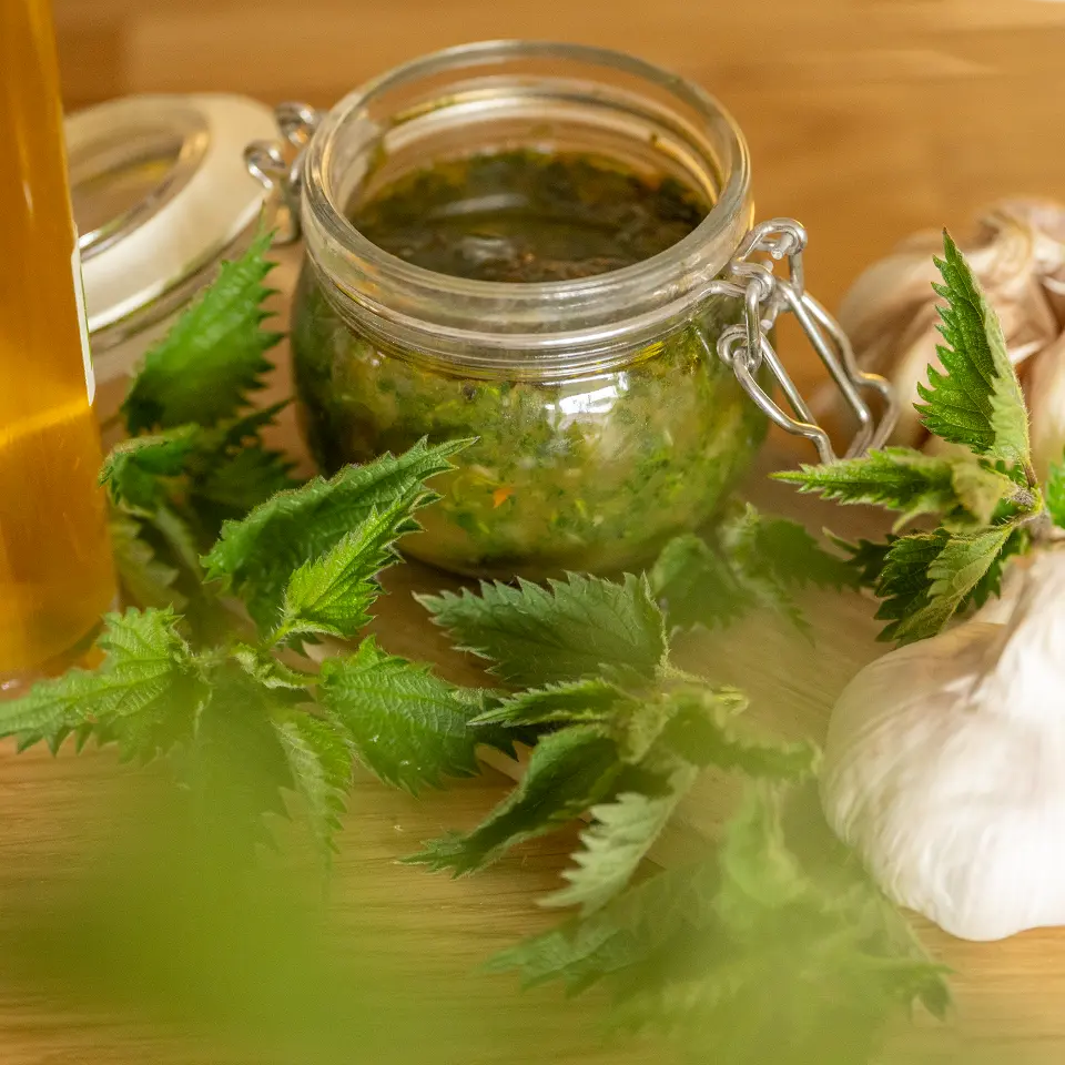 Rezept für Brennnessel Pesto