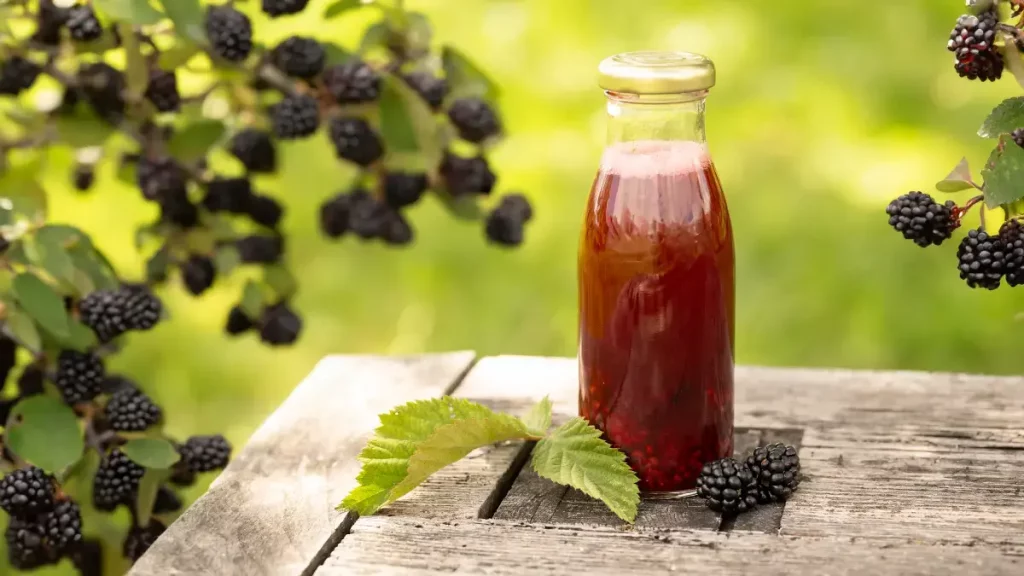 Glas mit frisch gemachtem Brombeeressig auf Holztisch, umgeben von reifen Brombeeren – perfekt für die Haltbarmachung im August