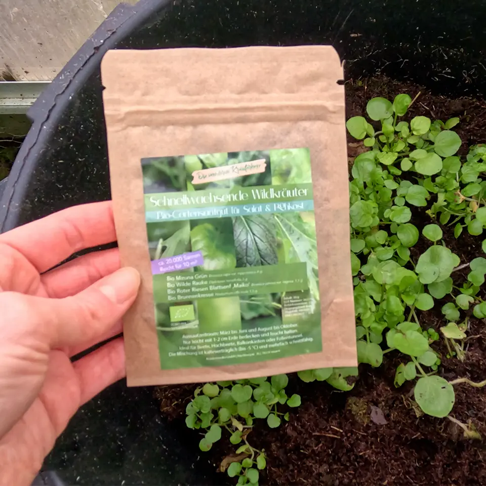 Saatgut Brunnenkresse