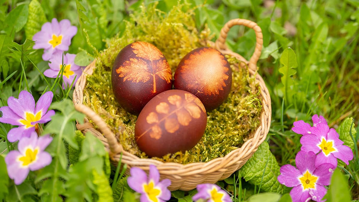 Eier für Ostern natürlich färben