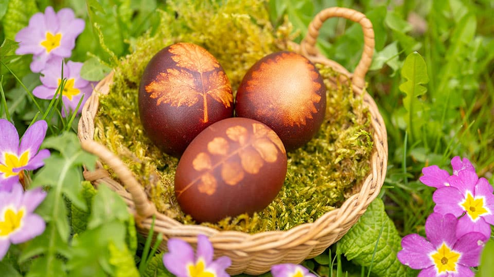 Eier färben mit Wildkräutern und Zwiebelschalen