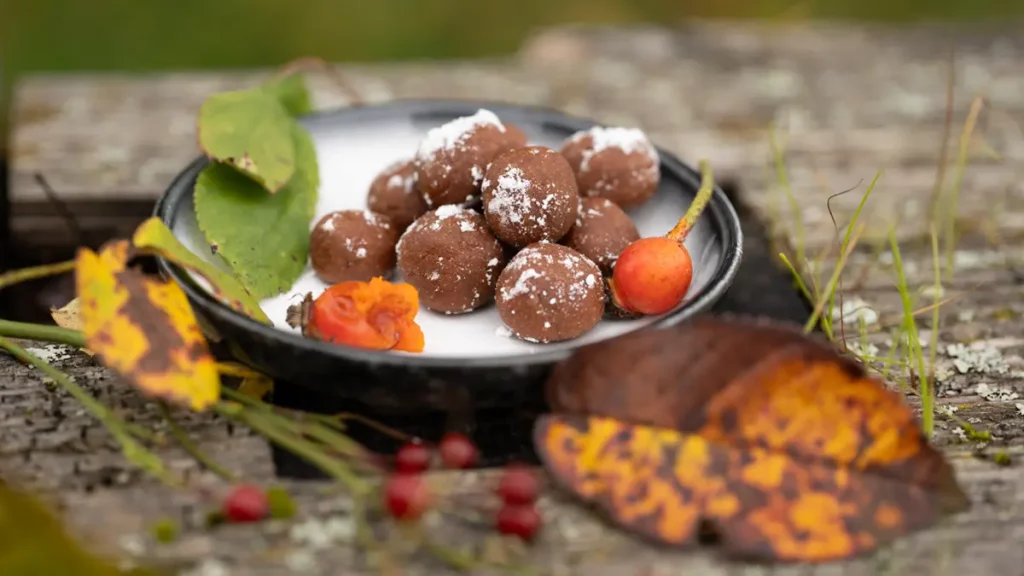 Energiekugeln mit Hagebutte und Kakao – gesunder Snack mit Vitamin C für den Herbst