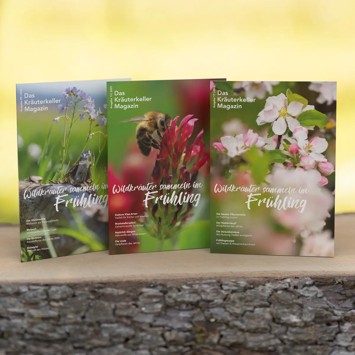 Wildkräuter Magazin Frühling 2026