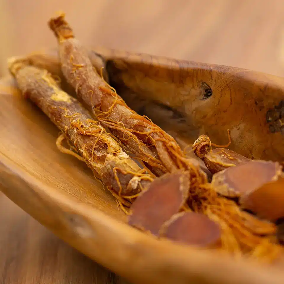 Echter Ginseng