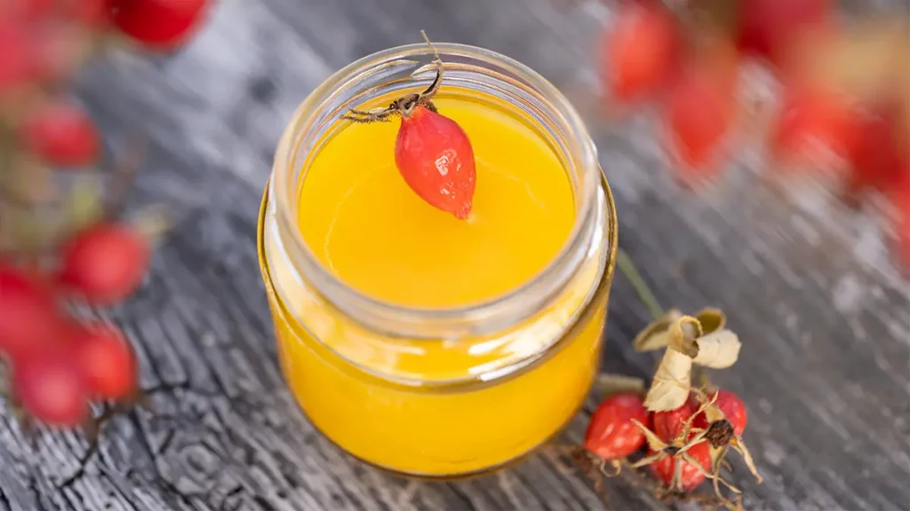 Selbstgemachte Hagebuttensalbe in Glas mit frischen Hagebutten – natürliche Hautpflege im Herbst