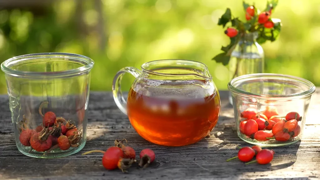 Frisch aufgebrühter Hagebuttentee im Glas – aromatisches Herbstrezept im September