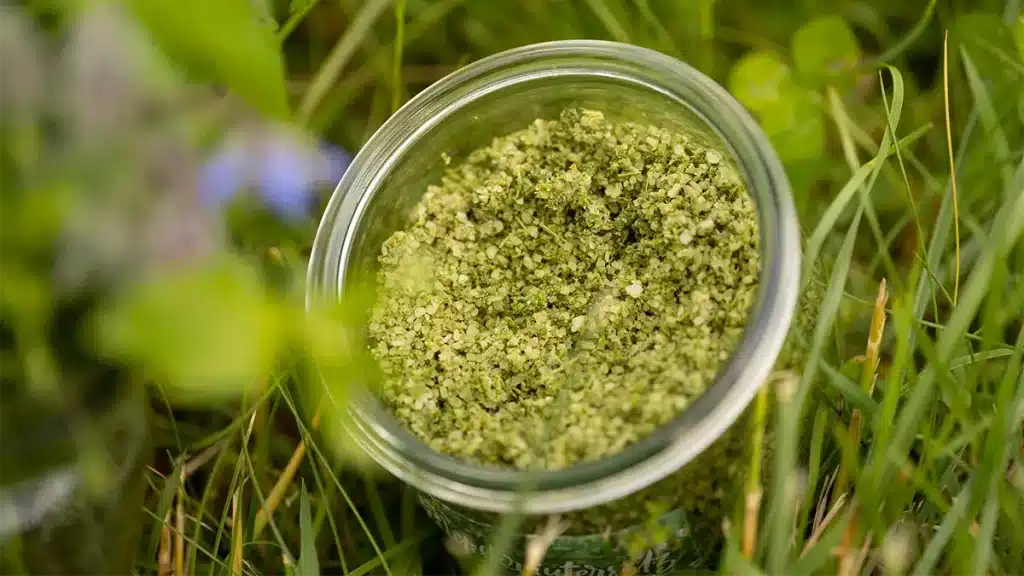 Glas mit selbstgemachtem Kräuter-Salz im Garten – das einfache Rezept für frisches Sommeraroma