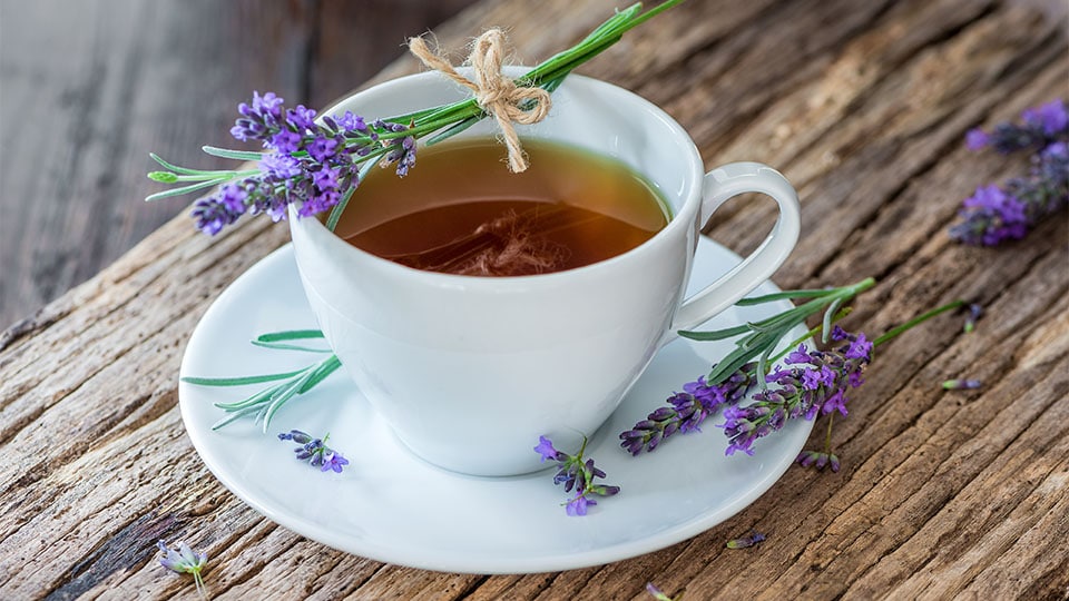 Lavendel Tee