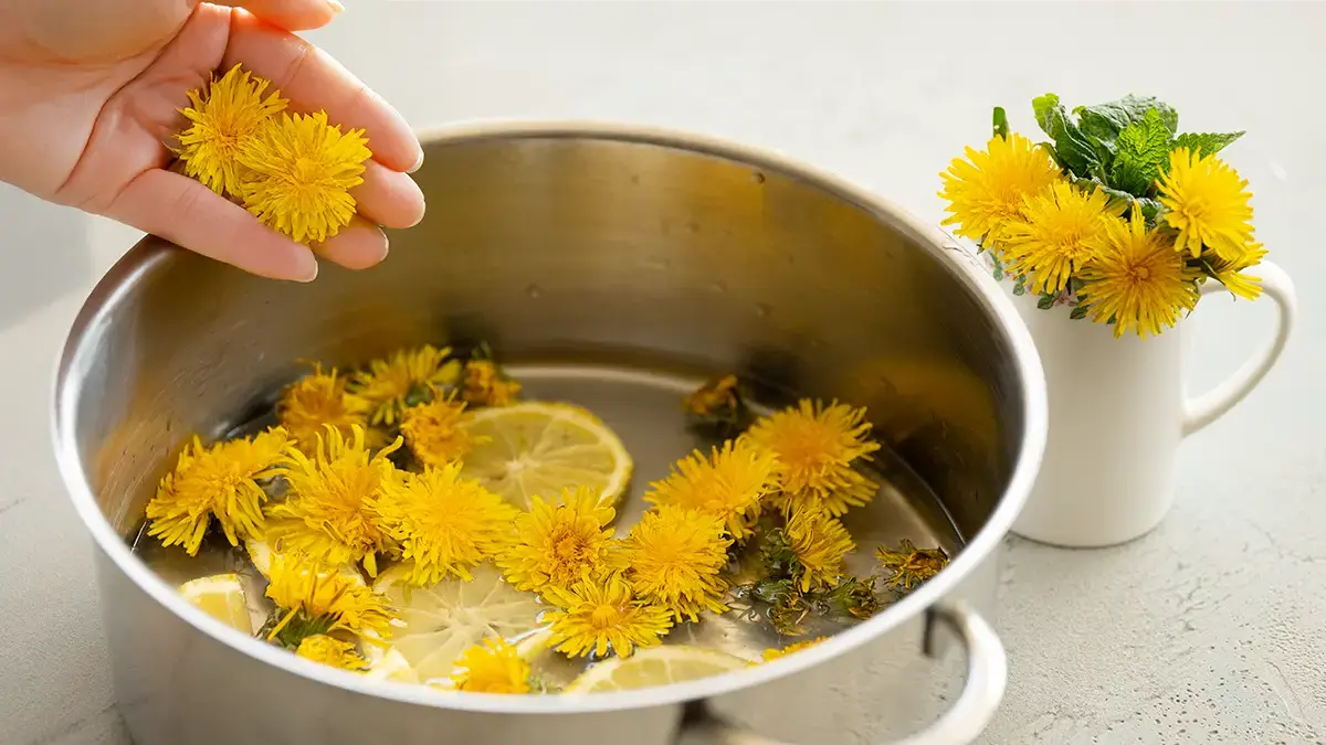 Löwenzahnblüten werden im Topf zu Sirup gekocht – einfache Herstellung von veganem Löwenzahnhonig im April