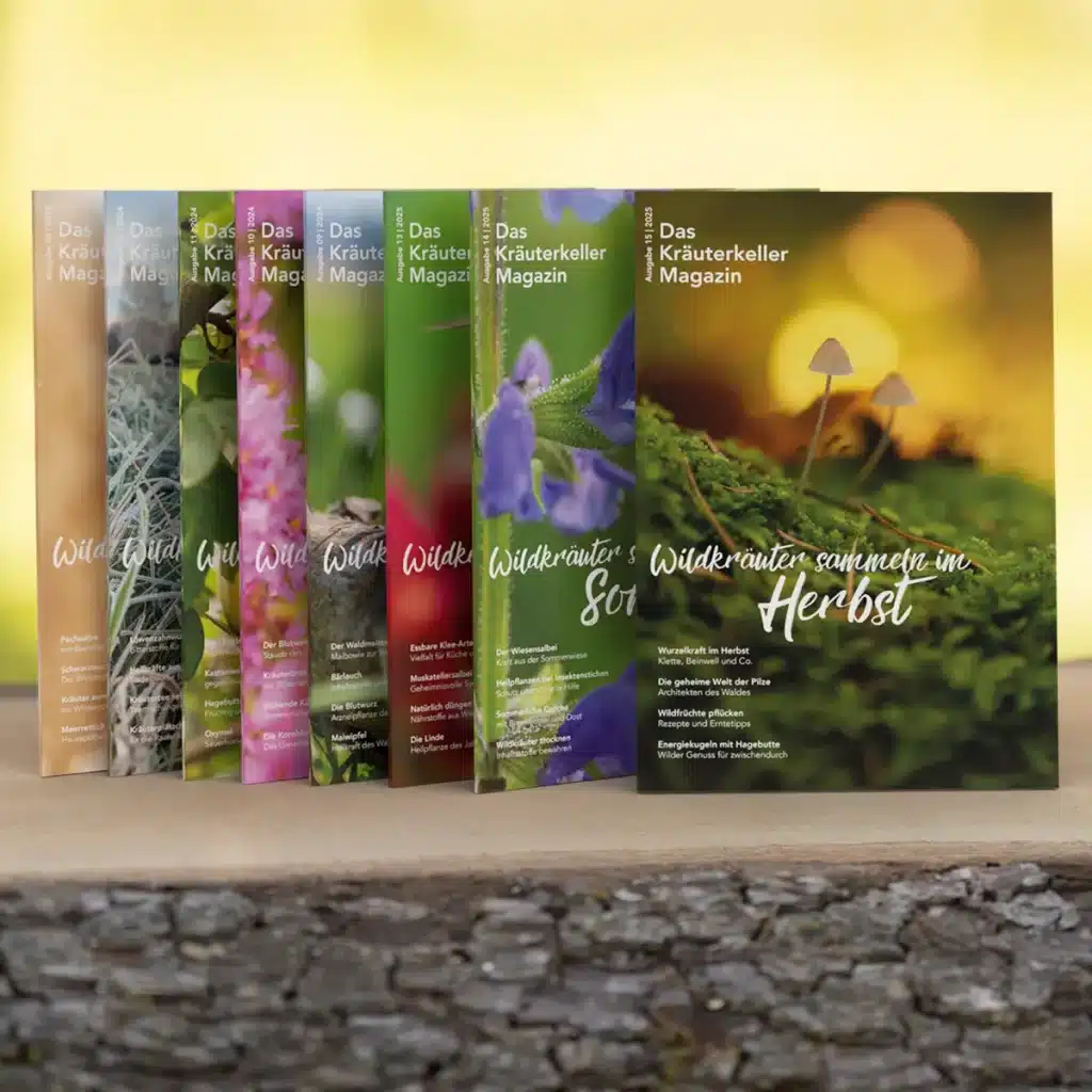 Wildkräuter Magazine für das ganze Jahr