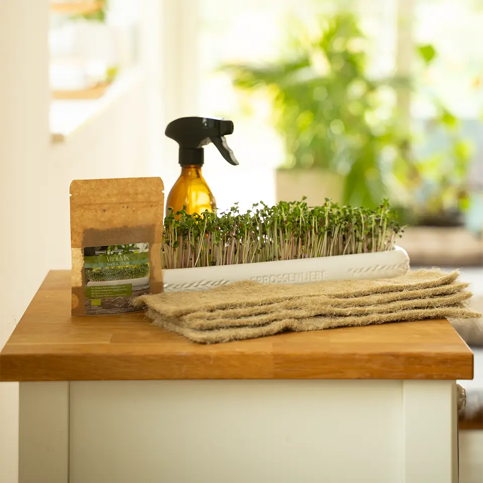 Starterset für Microgreens