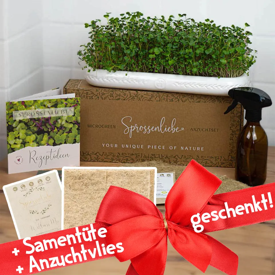 Herbstaktion mit der Anzuchtschale
