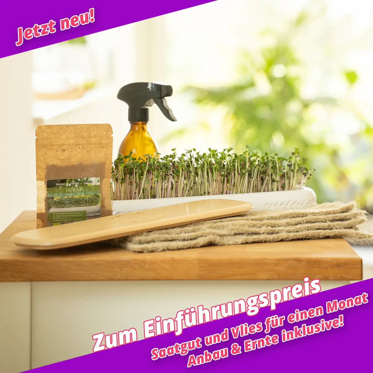Mini Garten in der Anzuchtschale