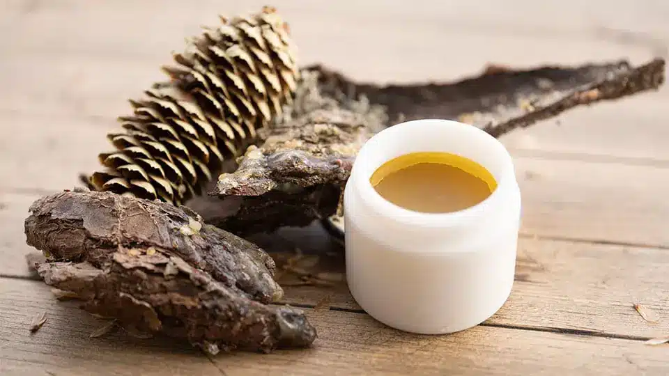 Pechsalbe im Dezember selber herstellen - Rezept mit Baumharz
