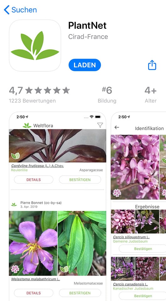 Pflanzen und Kräuter App