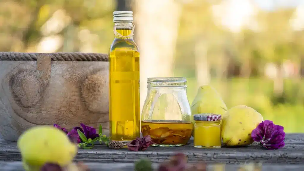 Salbe und Öl mit der Quitte im Herbst selber herstellen