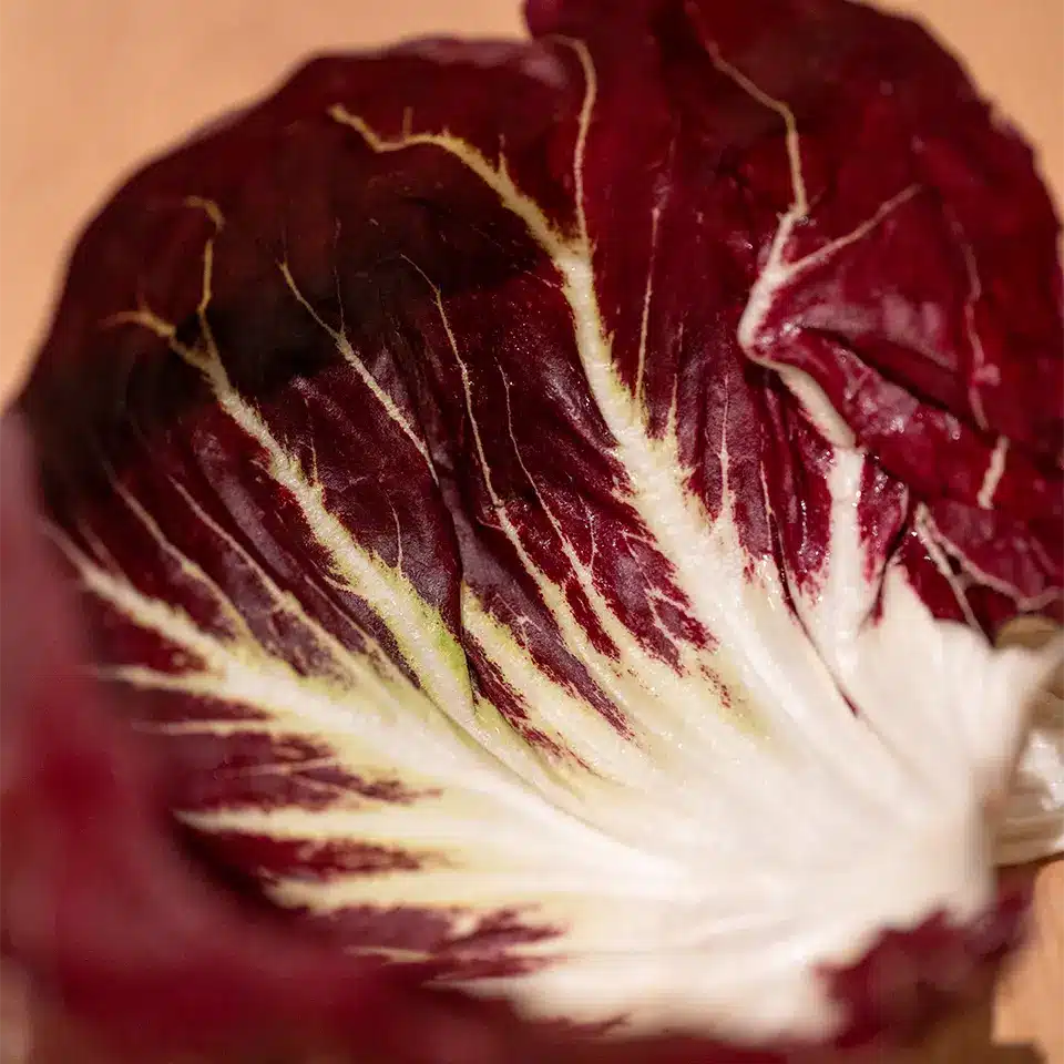 Salatblatt des Radicchio