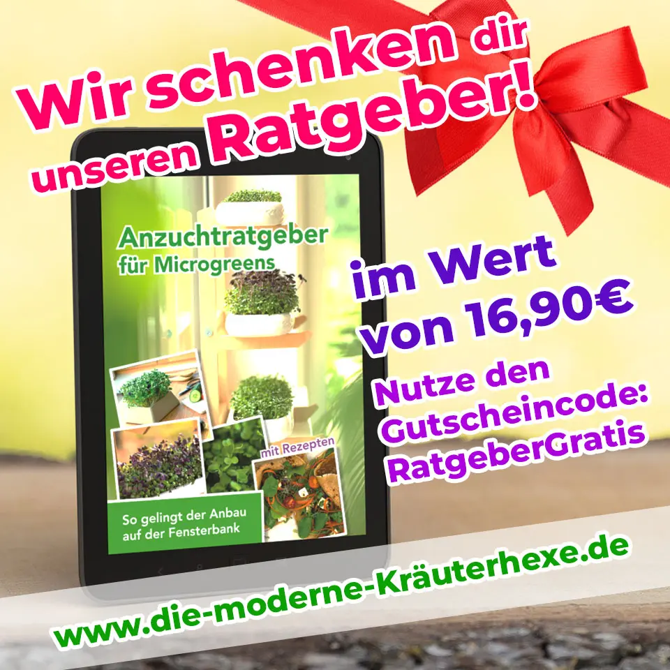 Ratgeber für Microgreens