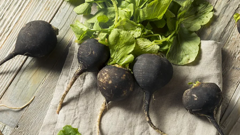 Schwarzer Rettich mit grünen Blättern auf Holztisch – natürliches Hausmittel gegen Husten und Erkältung