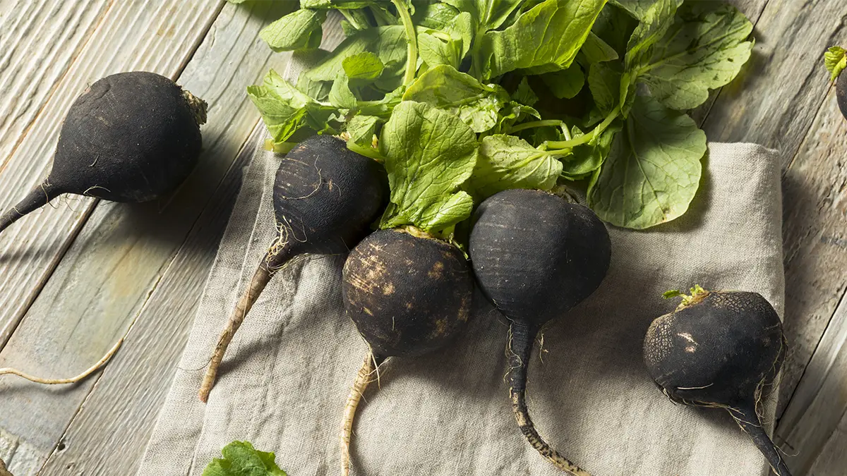 Schwarzer Rettich mit grünen Blättern auf Holztisch – natürliches Hausmittel gegen Husten und Erkältung