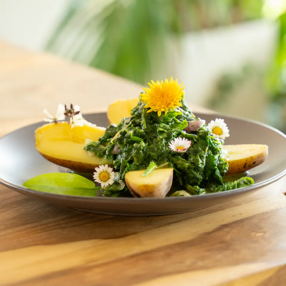 Spinat mit Brennnesseln