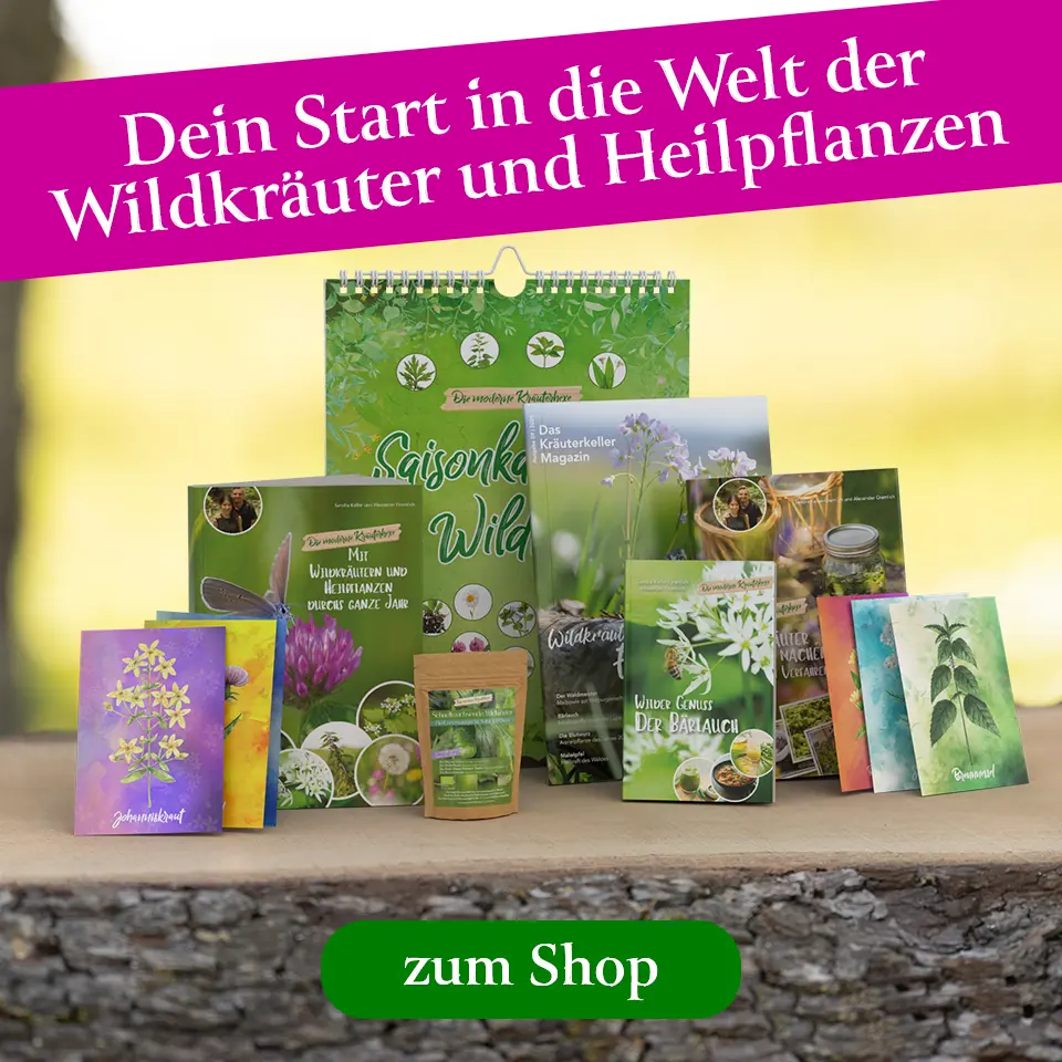 Starterset für Wildkräuter und Heilpflanzen