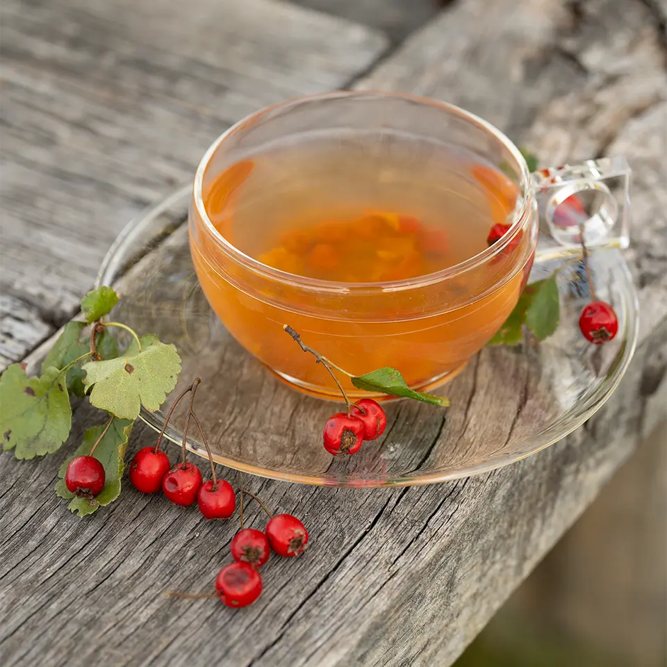 Tasse mit frisch aufgebrühtem Weißdorntee und roten Weißdornbeeren auf einem Holztisch