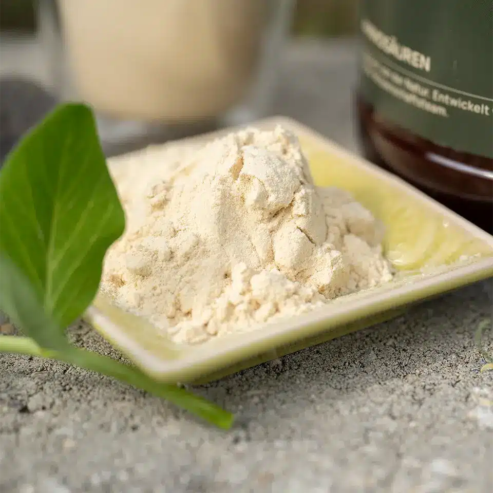 Veganes Proteinpulver