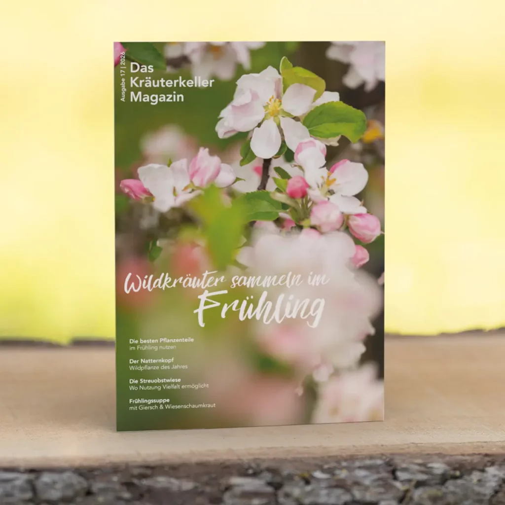 Wildkräuter Magazin Frühling 2026
