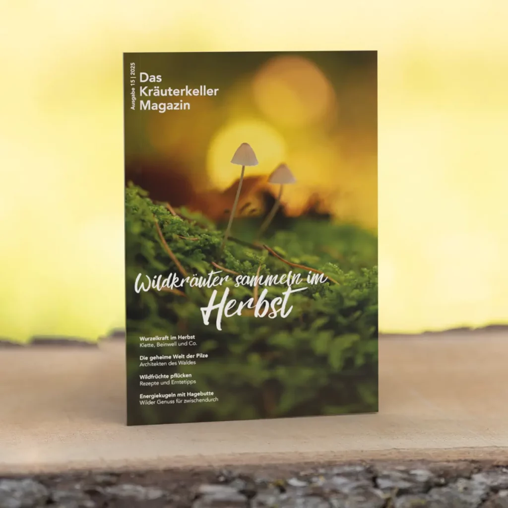 Das Wildkräuter Magazin für den Herbst 2025