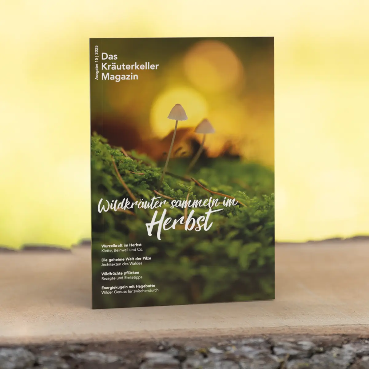 Das Wildkräuter Magazin für den Herbst 2025