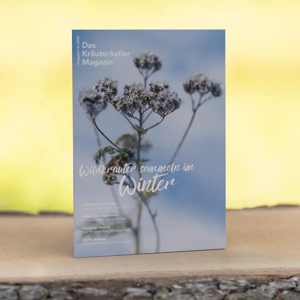 Wildkräutermagazin für den Winter 2025
