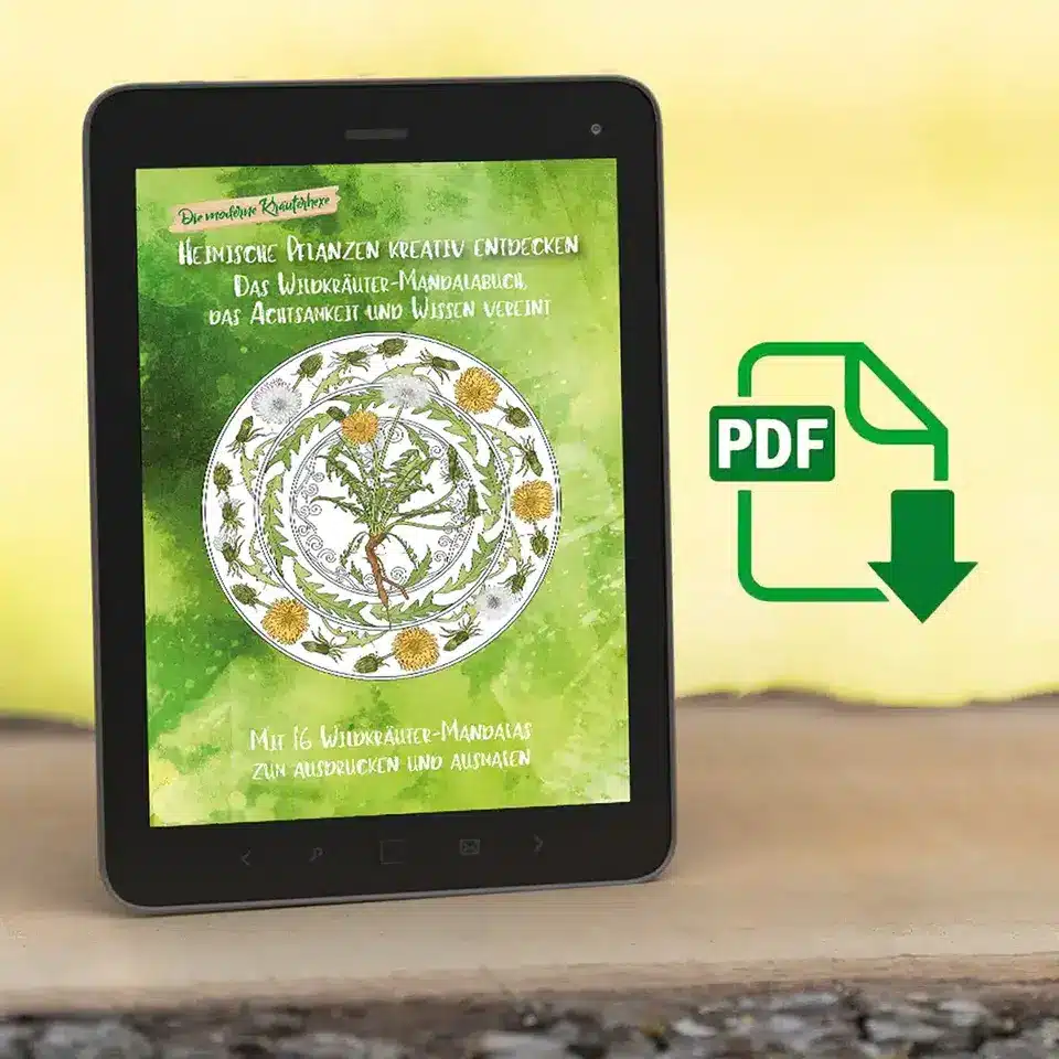 Wildkräuter Mandala buch