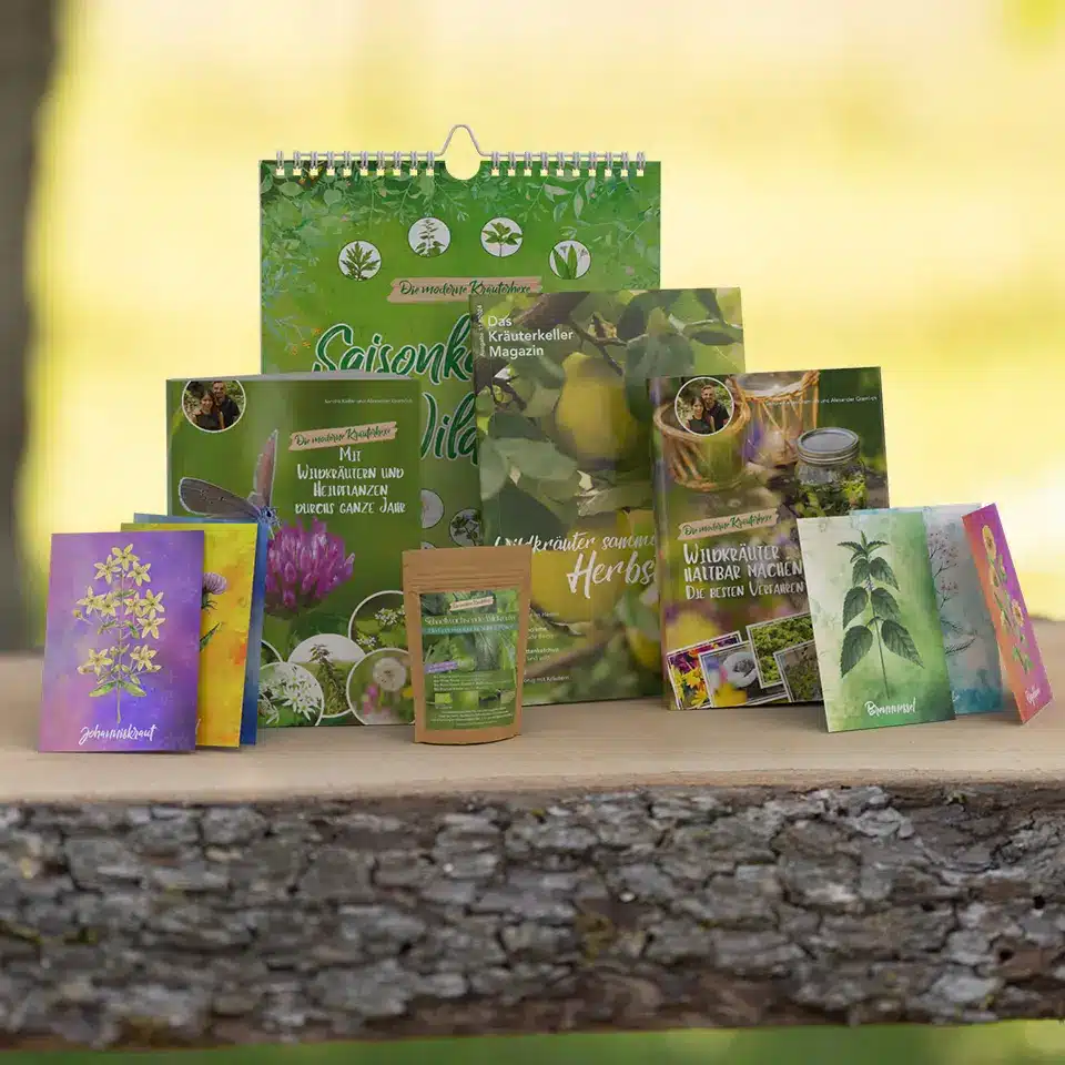Wildkräuter Starterset für den Herbst