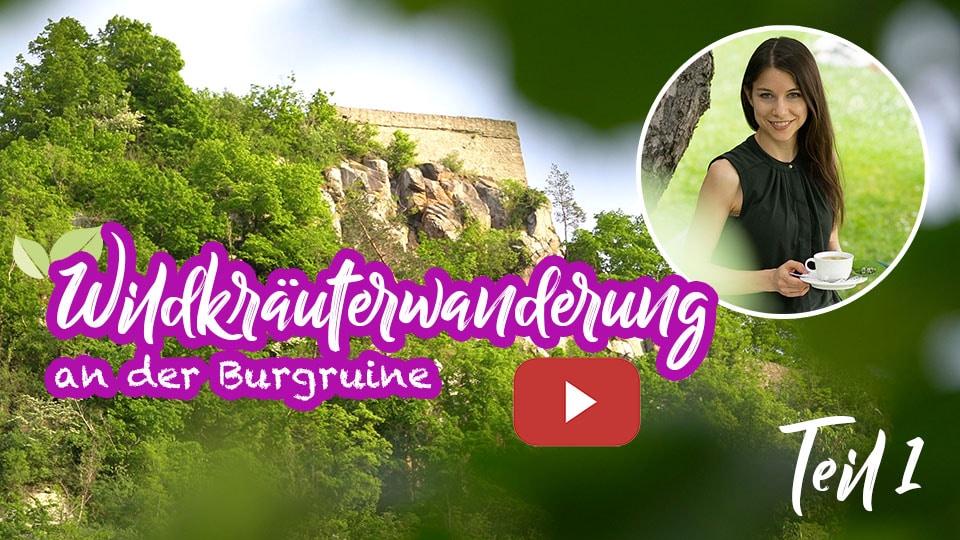 Video zu unserer Wildkräuterwanderung an der Burgruine