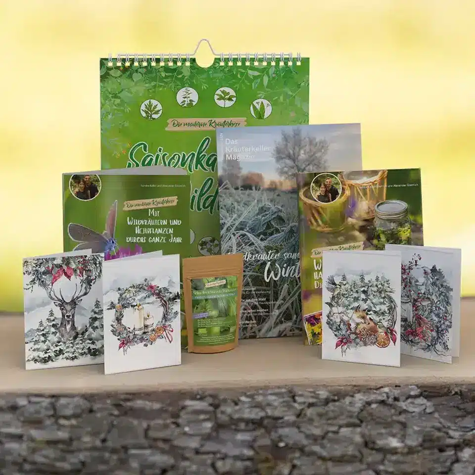 Wildkräuter im Winter sammeln