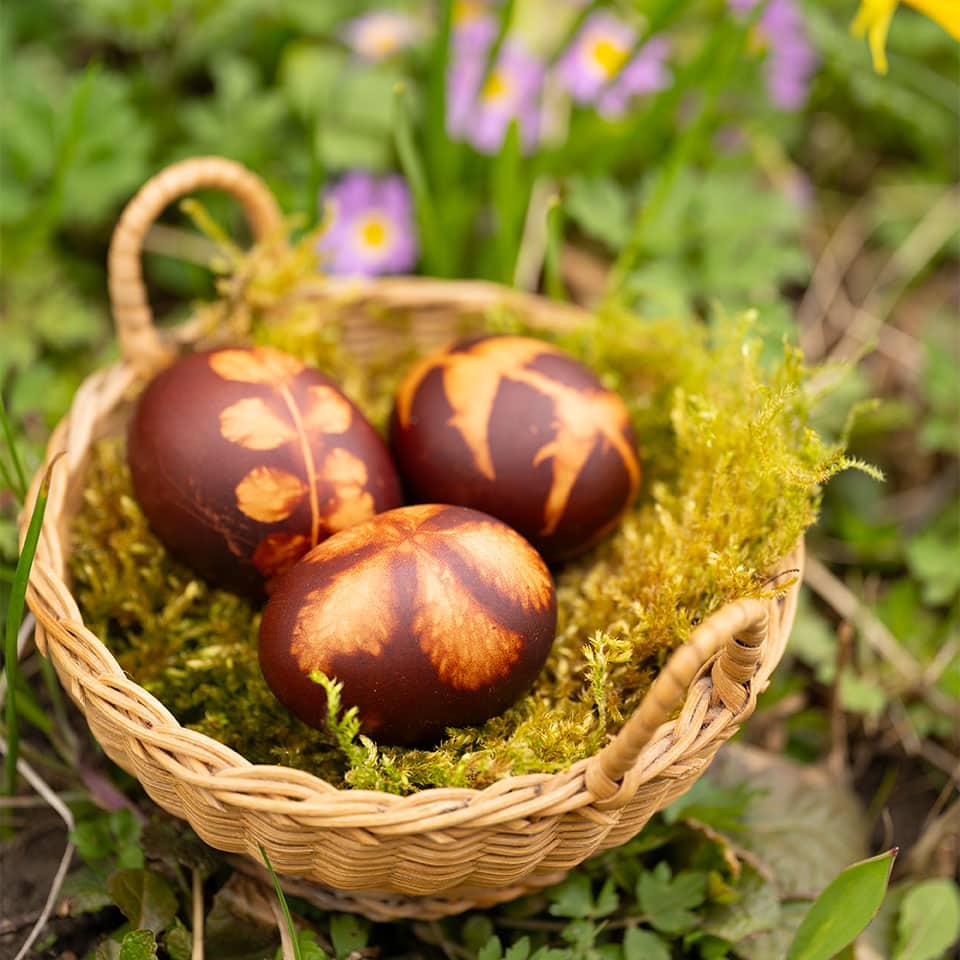 Zwiebelschalen können an Ostern zum Färben genutzt werden